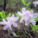 경주목장 이미지