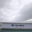 제주시 보말칼국수 이미지