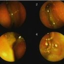 김동욱한의원 이미지