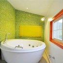 반도스파인 이미지