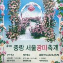 11260-2-4-9 | 2026 중랑서울장미축제 후기 애견동반 초대가수 가는길 주차 먹거리 총정리