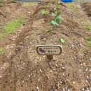 숲속은성 이미지