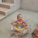 경기엘림어린이집 | 이천 워터룸!!] 바니풀 이용후기❣️