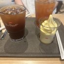 폴 바셋 강남역 삼성화재점