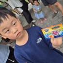 수원-1867 | 포켓몬Go Fest 맥스피날레 무한다이노 수원 참여후기