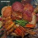 심야식당세솔리 네이버블로그