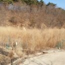 기호보건진료소 이미지