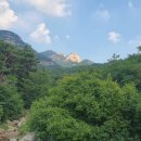 사라리할아버지 이미지