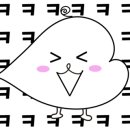 꼬독꼬독 이미지