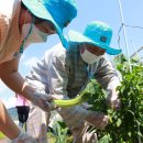 김해보훈요양원 이미지