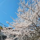 증심사뚱돼지숯불갈비 | 무등산 증심사 맛집 뚱돼지숯불갈비 제육볶음 해물파전 굿