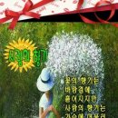 중앙함바 이미지