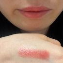 안나수이 - 전주시 완산구 전주객사4길 19 | 안나수이 뷰티 립스틱 3.5g ROUGE A LEVRES 302호(애프리콧 핑크)색상/ 안나수이 베니티상품증정용 후기