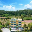 제주 달밤 이미지