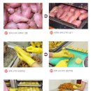 지민푸드시스템
