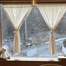 다시오다스테이 이미지