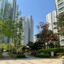 미사바른치과의원 이미지