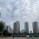 수영초등 이미지