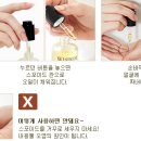에코위즈덤
