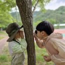 🌳숲놀이/곤충을 루페로 관찰해 보자~ 이미지