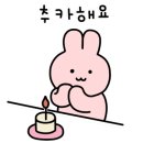 데이비드셀피