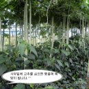 팔도농장 이미지