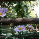 빛고을낙원산장 이미지