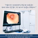 서울태내과 이미지