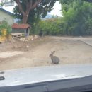 응봉농장2 이미지