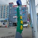 와와 | 삼천포 용궁포차촌 와와포차 코끼리조개 숙회 후기