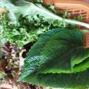 명륜진사갈비 기장점 이미지