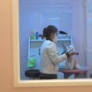 몽블리스 이미지