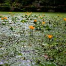 시왕목장 이미지