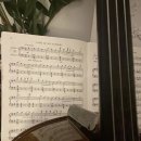 (1:1레슨)첼로 개인레슨(30분) 이미지