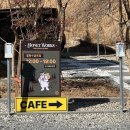 숲속양봉