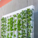 청결농장 이미지