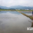 영우축산 이미지