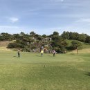 제이스C.C 시사이드 이미지