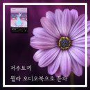 (주)디오 인터내셔널 이미지