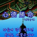 일신사 이미지
