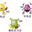 선옥 이미지