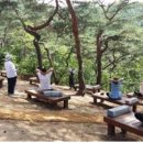 남산공원길3 이미지