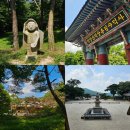 덕숭산지구 산딸나무길 | 충남 예산 가볼만한곳 덕숭산 전국 유명 사찰 여행 수덕사