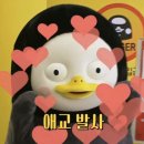 하뚜