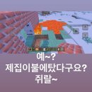 상명유치원 | 지금부터 달라지겠단 말 늘 하던 핑계가 아니에요