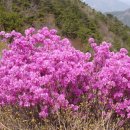 강서체육공원 이미지