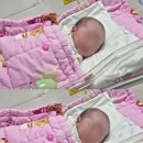 자동차 119 | 창원 한마음병원 37주1일 제왕절개 후기 (2인실, 아기면회, 식사, 모유119, 수유콜)