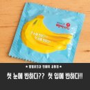 코끼리광고기획 - 서구 | 코끼리광고기획