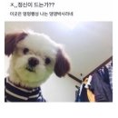 정신