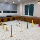 킁킁멍멍 이미지